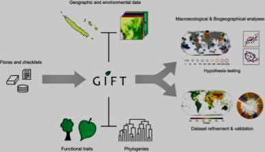 Plant functional traits and types: Their relevance for a better