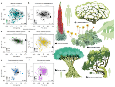 Plant functional traits and types: Their relevance for a better